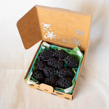 Load image into Gallery viewer, Beeswax Blackberry Birthday Candles - 5 count
