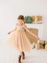 Load image into Gallery viewer, Girls Clothing. Holiday Tutu Dress