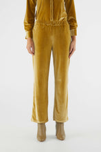 Load image into Gallery viewer, Velvet Stretch Pants - Gold