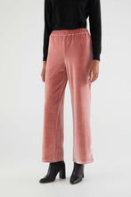 Load image into Gallery viewer, Velvet Stretch Pants - Pink