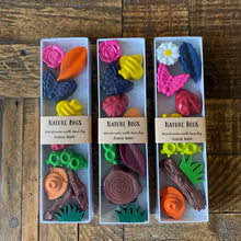 Load image into Gallery viewer, Nature Bugs Crayon Gift Set