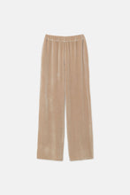 Load image into Gallery viewer, Velvet Stretch Pants - Beige