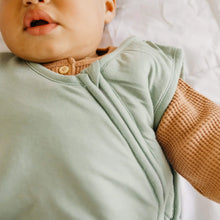 Load image into Gallery viewer, Sleep Bag - Briar