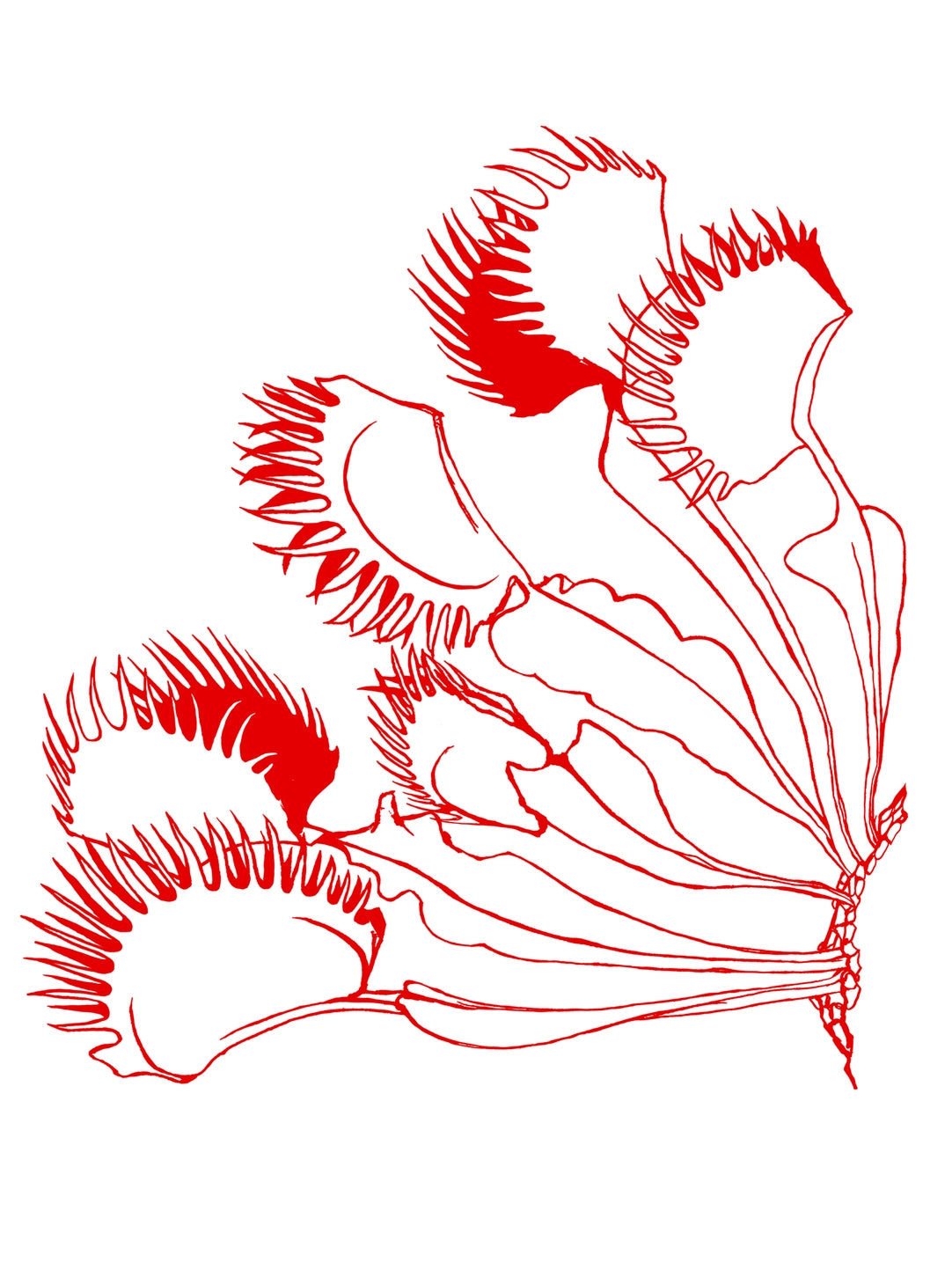 Venus Flytrap Gwenn Heavyweight Tee