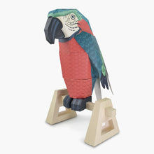 Load image into Gallery viewer, Create Your Own Parrot On A Perch