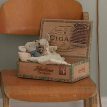 Load image into Gallery viewer, Grandma & Grandpa Mice in Matchbox