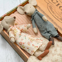 Load image into Gallery viewer, Grandma & Grandpa Mice in Matchbox