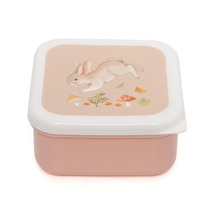 Lunchbox Set Bear and His Friends