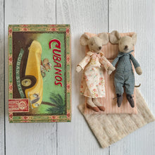 Load image into Gallery viewer, Grandma & Grandpa Mice in Matchbox
