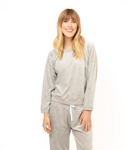 Load image into Gallery viewer, Velour Sweatshirt - Gray