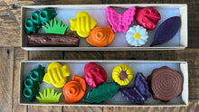 Load image into Gallery viewer, Nature Bugs Crayon Gift Set