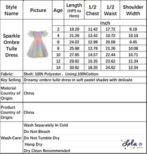Load image into Gallery viewer, Sparkle Ombre Tulle Dress
