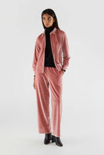Load image into Gallery viewer, Velvet Stretch Pants - Pink