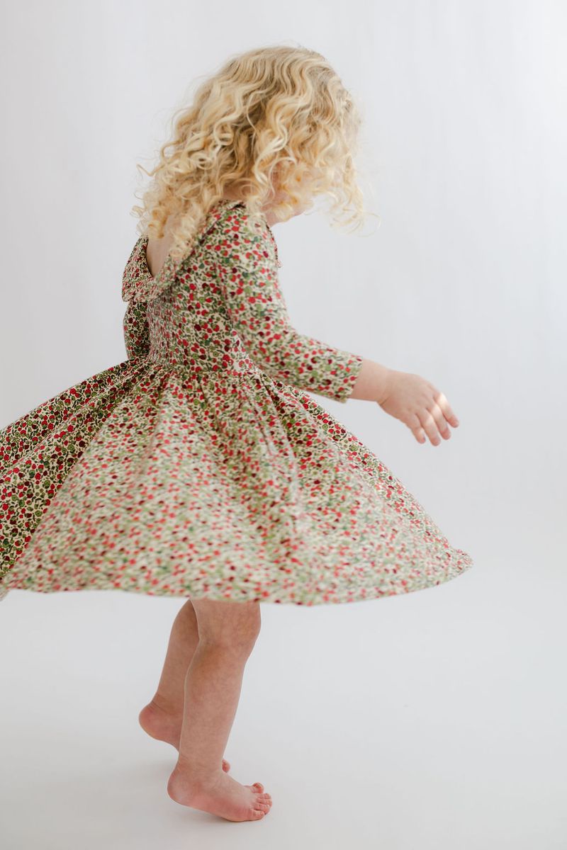 3/4 Sleeve Collard Twirl Dress - Crimson Floral