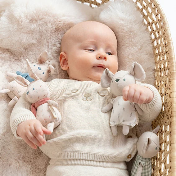 "Pocket Friends" Plush Toys with Rattle