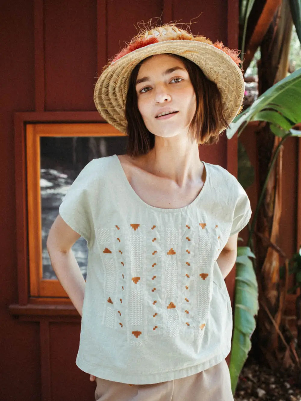 The Alba Crop
