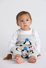 Load image into Gallery viewer, Knit Overalls Penguins
