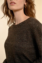 Load image into Gallery viewer, Shimmering Mesh Sweater - Chocolate
