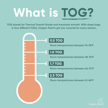 Load image into Gallery viewer, Sleep Bag - Atwood
