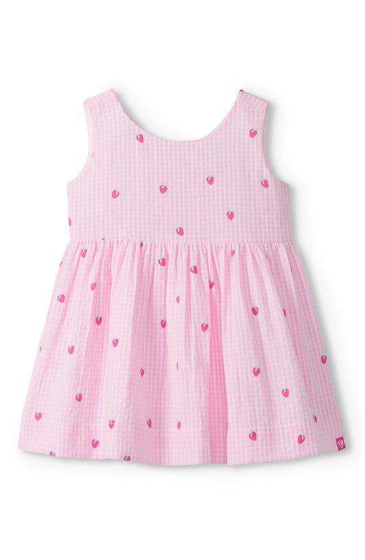 Teeny Berries Gingham Cotton Seersucker Dress