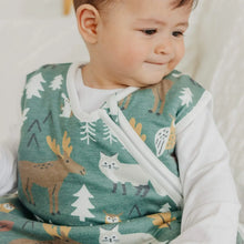 Load image into Gallery viewer, Sleep Bag - Atwood
