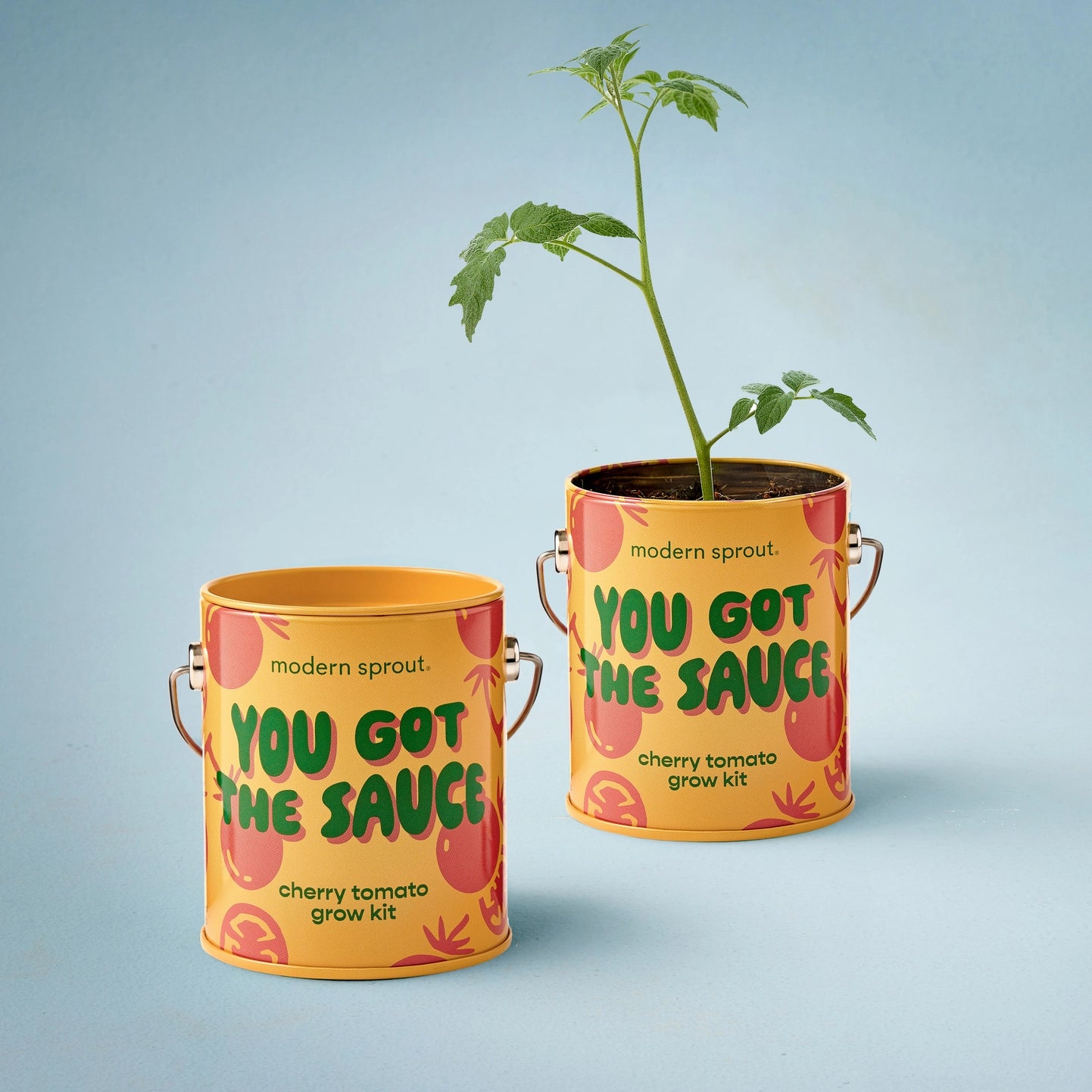 Colors Grow Kits - Cherry Tomato
