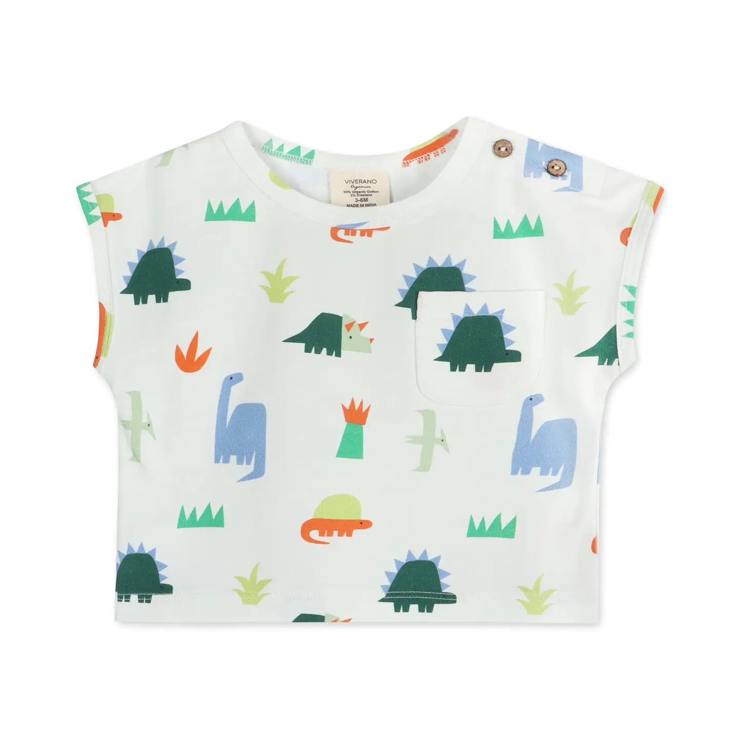 Dino Tee & Shorts Set