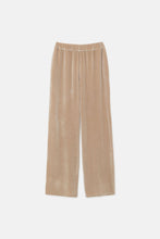 Load image into Gallery viewer, Velvet Stretch Pants - Beige
