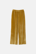 Load image into Gallery viewer, Velvet Stretch Pants - Gold
