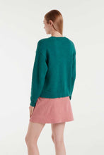 Load image into Gallery viewer, Dog Print Sweater
