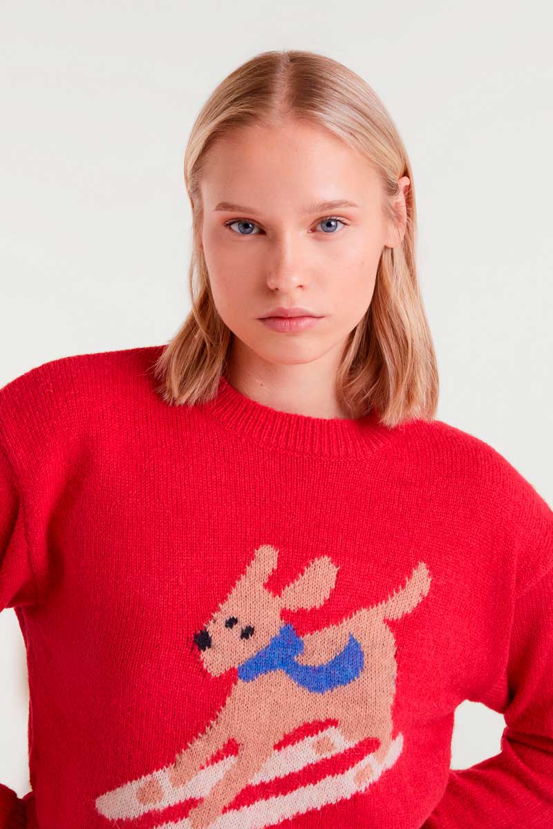 Skiing Dog Sweater