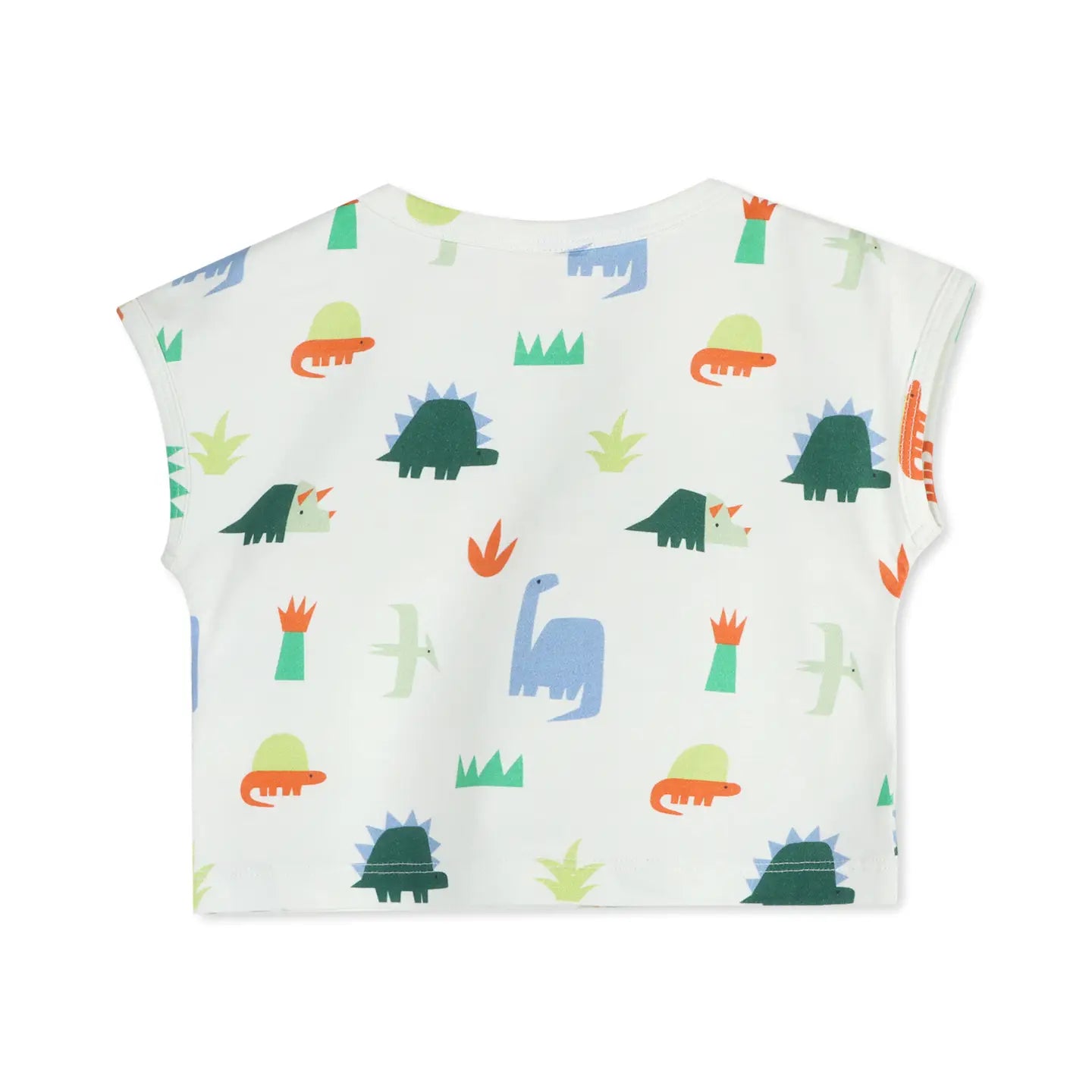 Dino Tee & Shorts Set