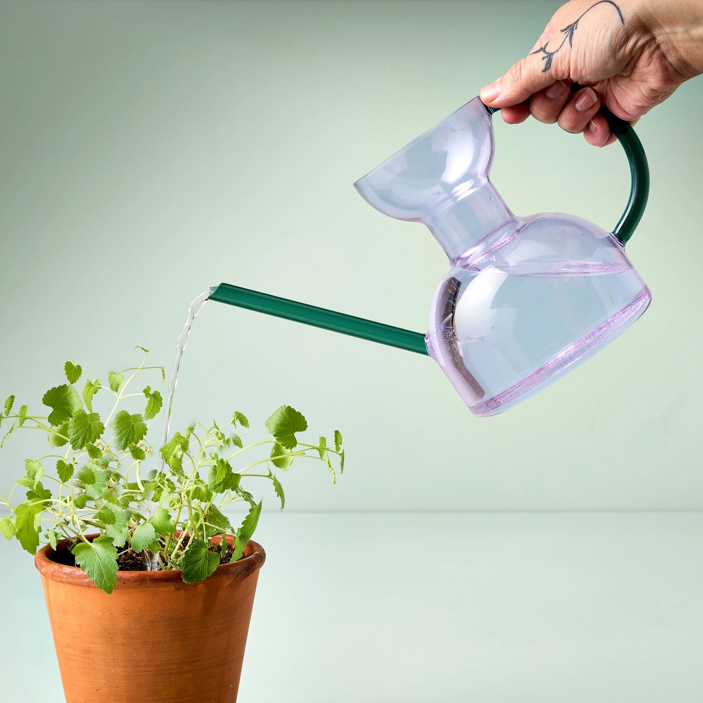 Glass Watering Can (32 Fl.oz.)