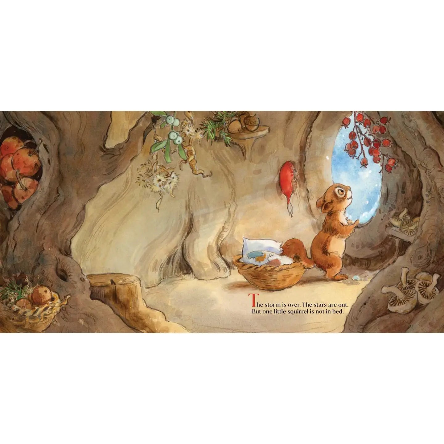 Wake Up, Moon! By Lita Judge