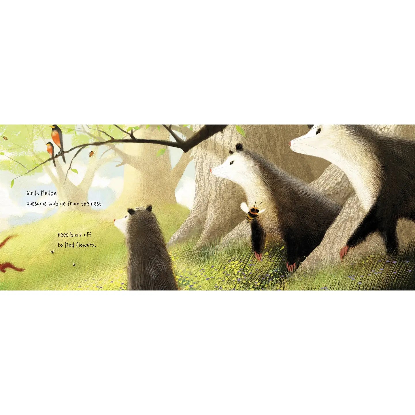 What Forest Knows By George Ella Lyon