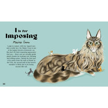 Load image into Gallery viewer, Catphabet : A Cat Alphabet
