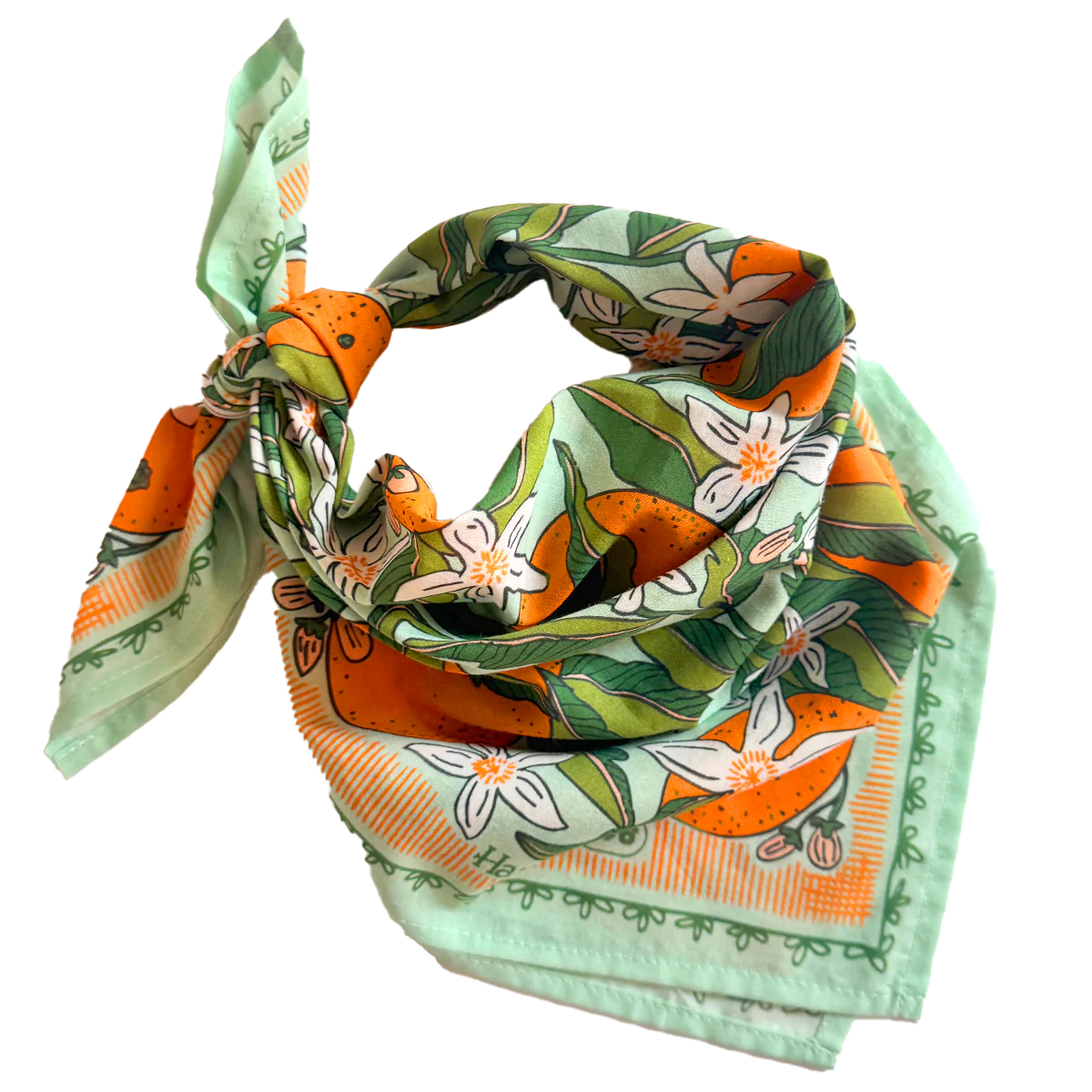 Zoe bandana