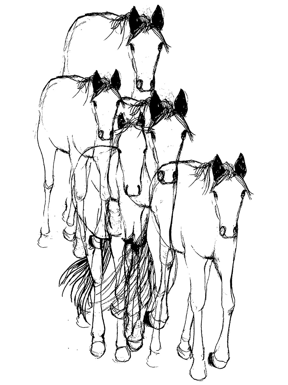 Horses Gwenn Heavyweight Tee