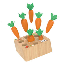 Load image into Gallery viewer, Carrots Harvest Shape Size Sorting

