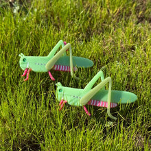 Load image into Gallery viewer, Chapulin Bug - Hair Barrette
