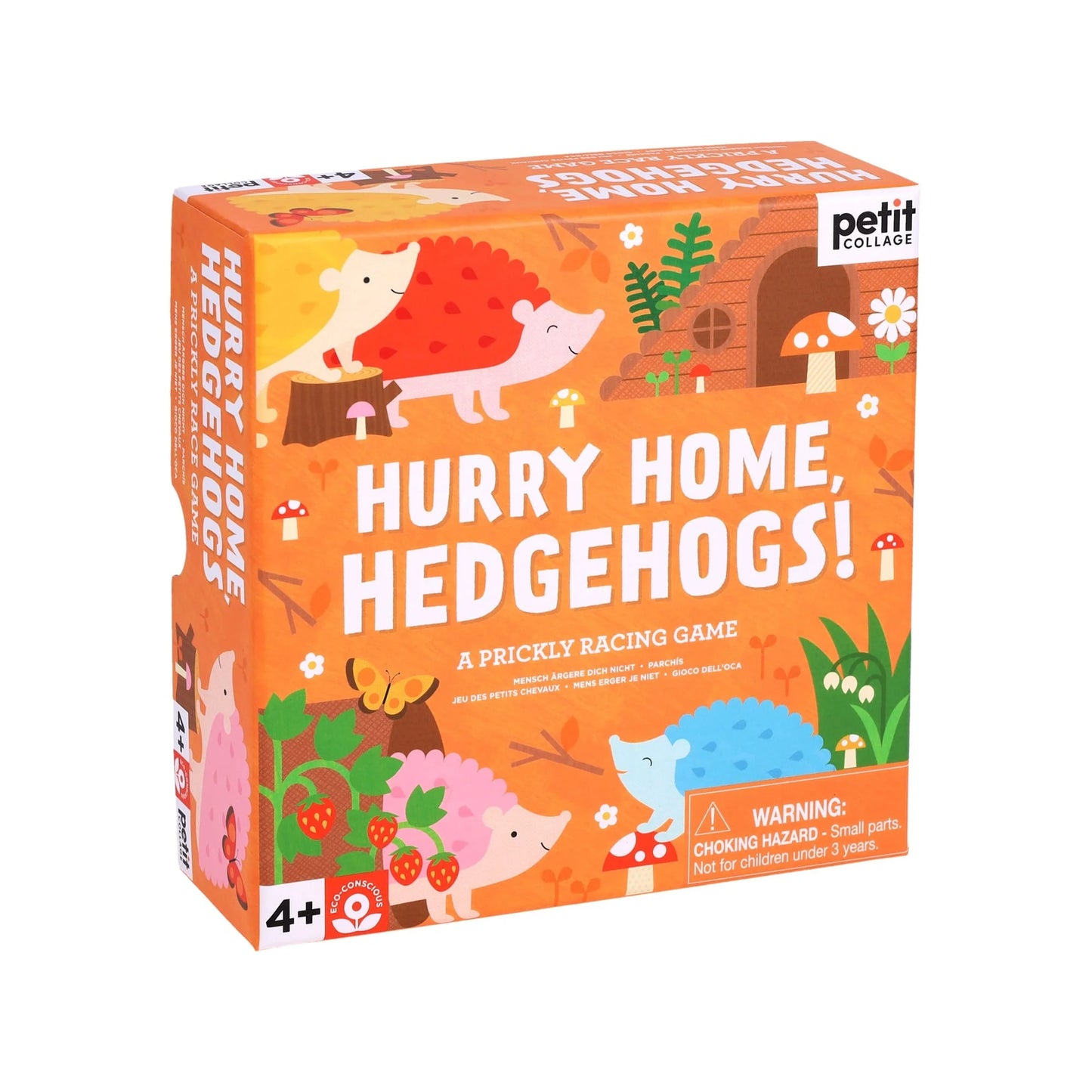Hurry Home, Hedgehogs! A Prickly Racing Game