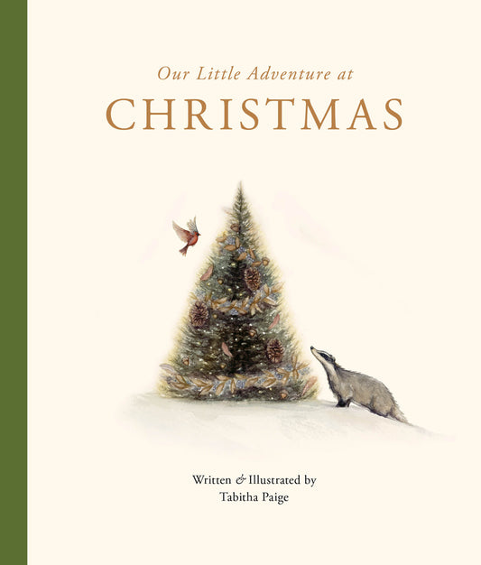Our Little Adventure at Christmas