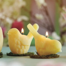 Load image into Gallery viewer, Beeswax Song Birds Novelty Candles - Two Styles
