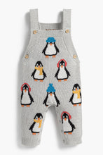 Load image into Gallery viewer, Knit Overalls Penguins
