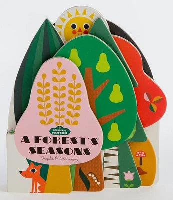 A Forest’s Seasons