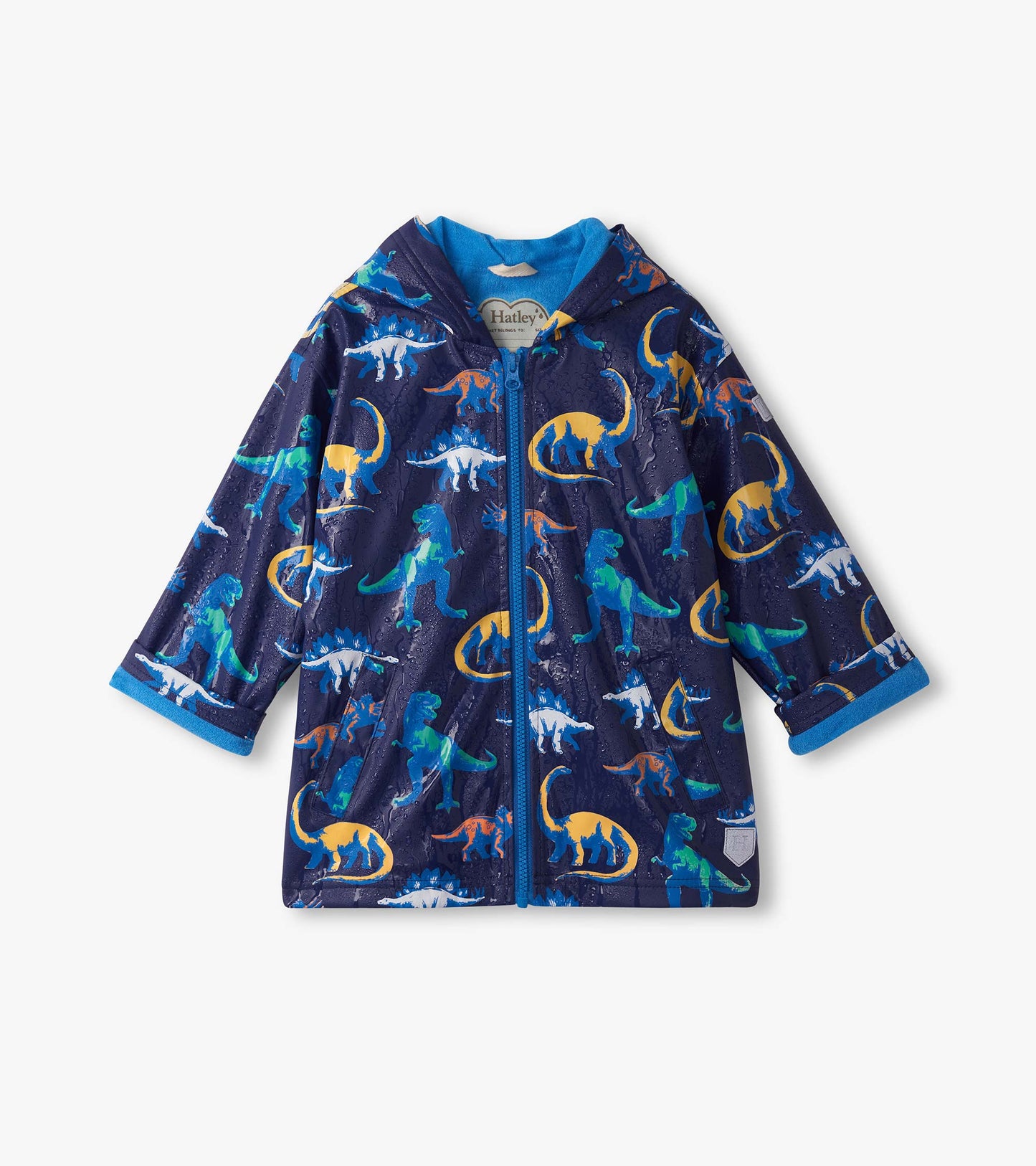 Painted Dinos Color Changing Raincoat