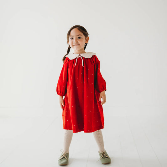 Christmas Carol Red Holiday Dress