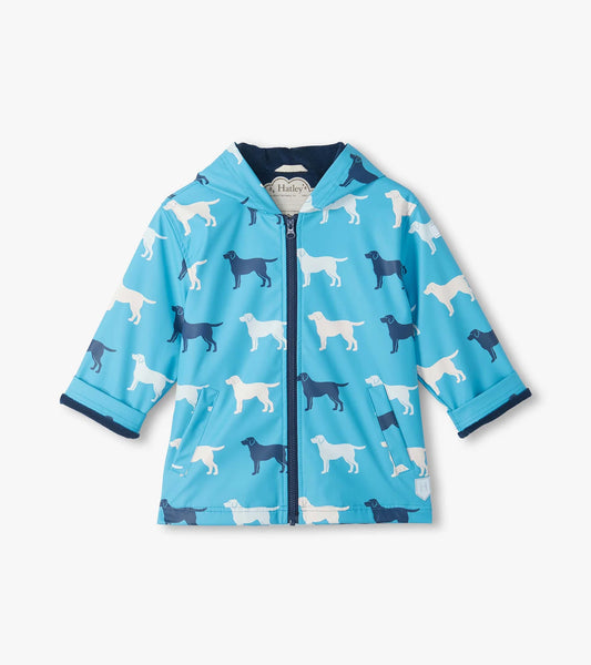 Dog Silhouette Color Changing Raincoat