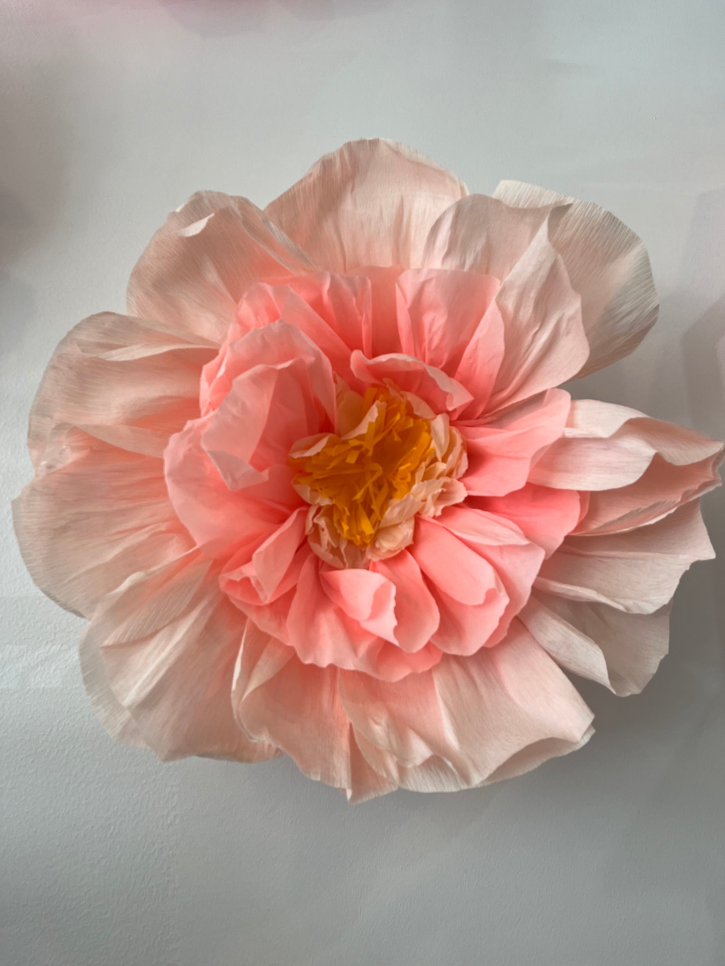 Giant Crepe Paper Flower Workshop