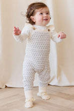 Load image into Gallery viewer, Savannah Jacquard Onepiece - Sheer Pink

